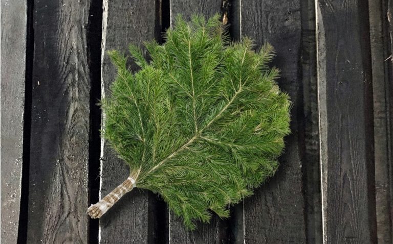 пихтовый ларпник на новый год в спб